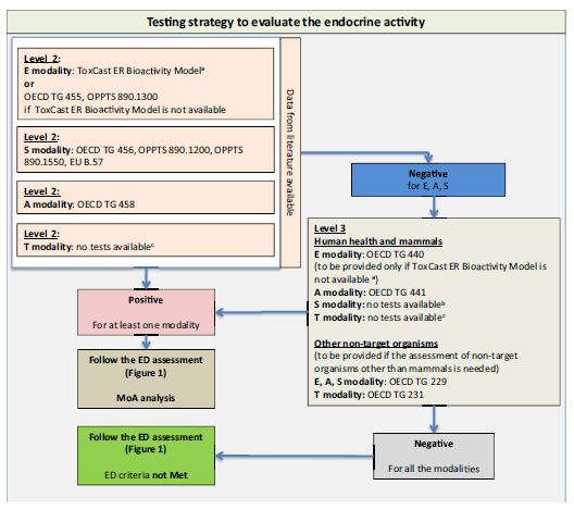 基于OECD概念框架的内分泌干扰评估试验策略