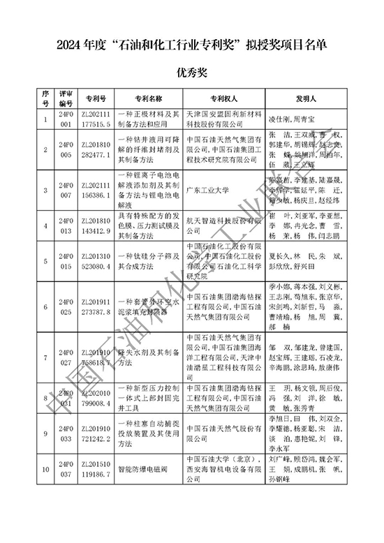 石油和化工行业专利奖3.jpg