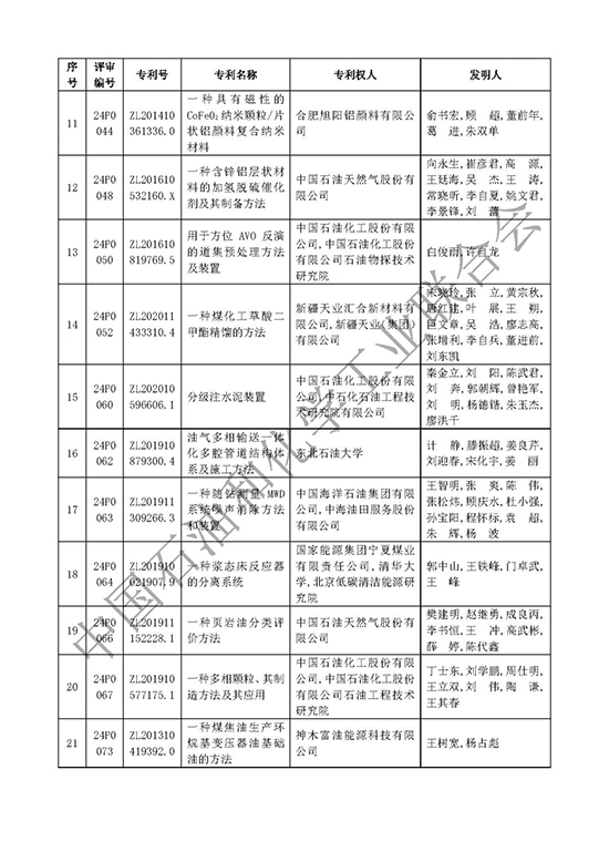 石油和化工行业专利奖4.jpg