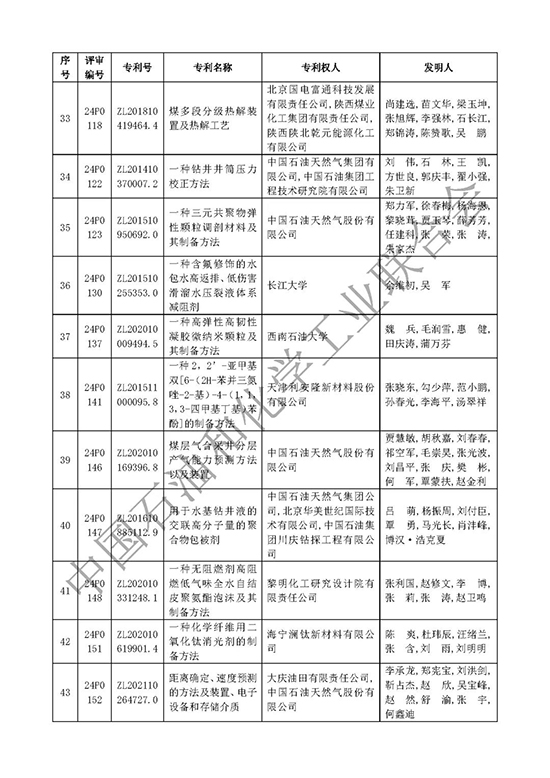 石油和化工行业专利奖6.jpg