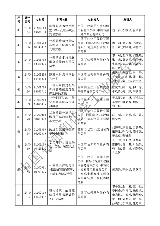 石油和化工行业专利奖7.jpg