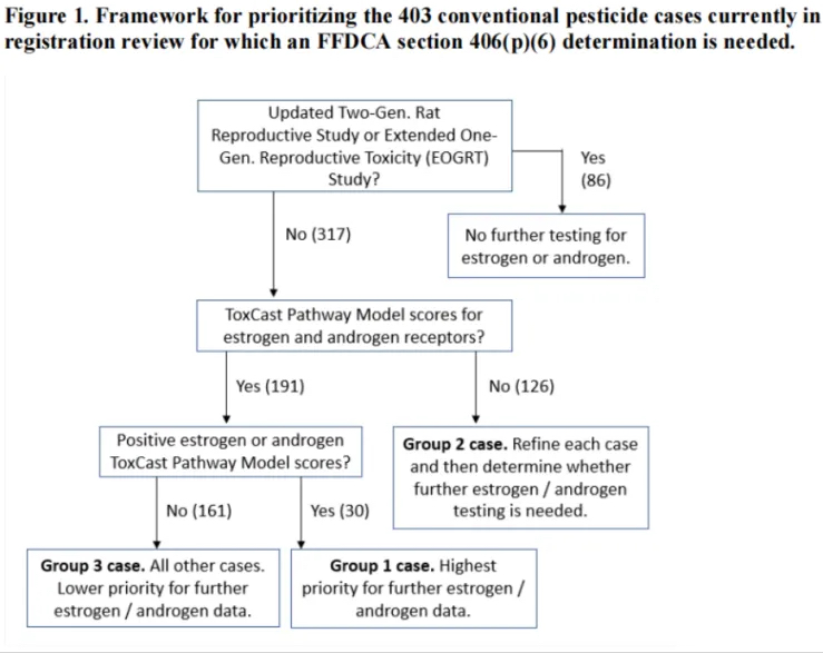 epa-endocrine-disruption-3.jpg